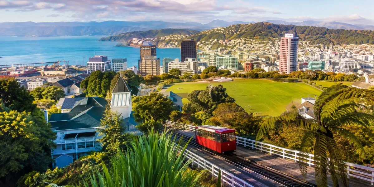 Considering New Zealand as Your Next Move? What the Newest Employment Figures Reveal